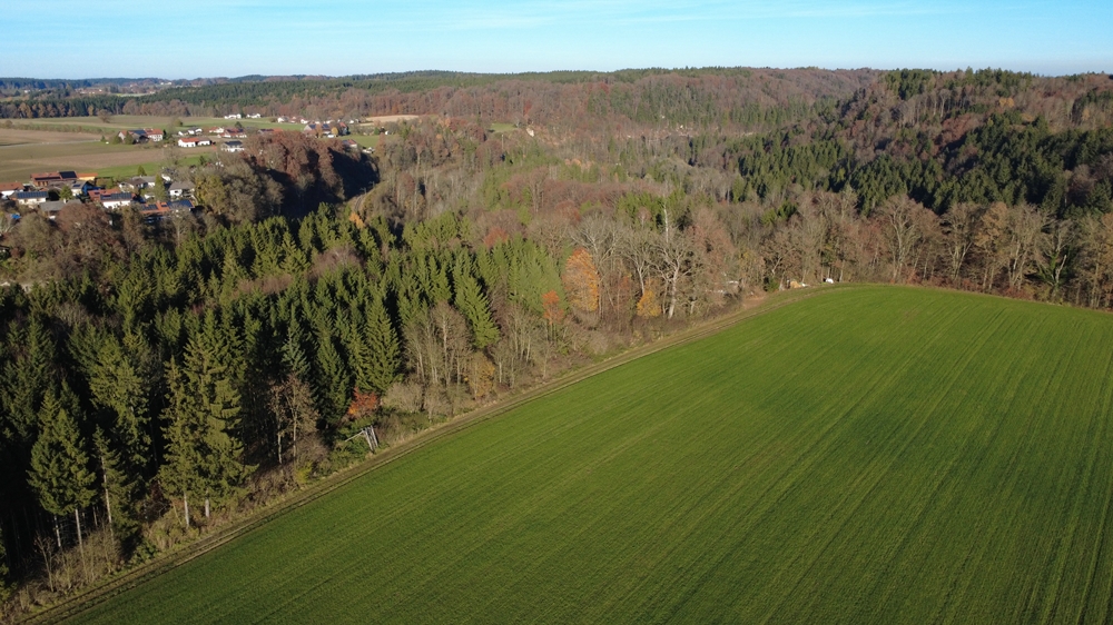 Grub - Teufelsgraben - Gruber Feld