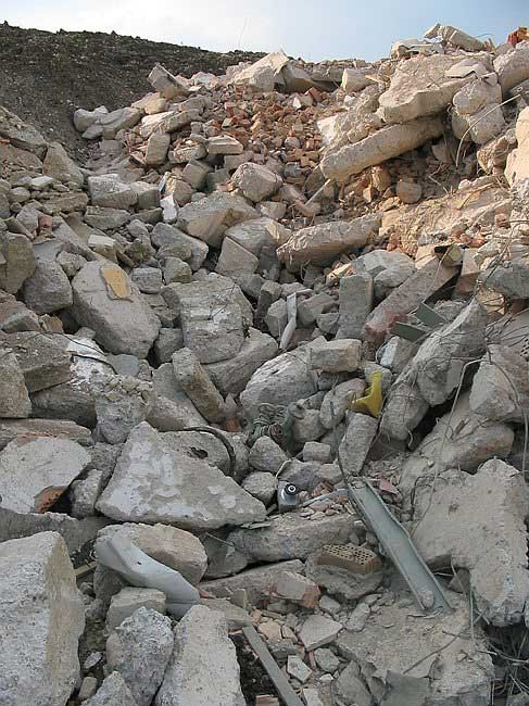 1.8.2004: Gesamtansicht der Abkippstelle
